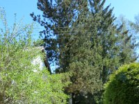 P1090582